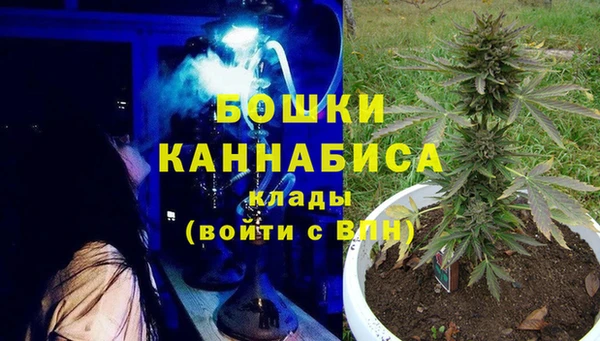 экстази Бородино