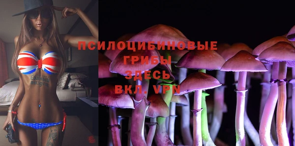 экстази Бородино