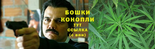 крисы Бронницы