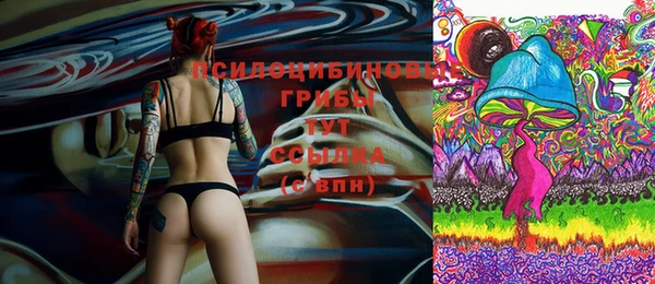 ГАЛЛЮЦИНОГЕННЫЕ ГРИБЫ Бугульма
