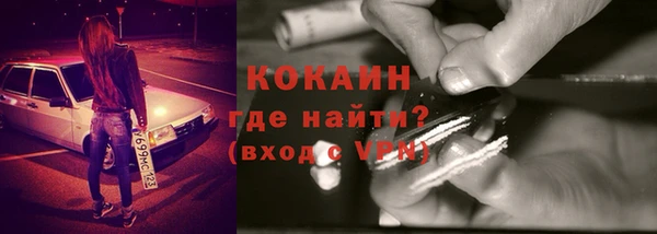 крисы Бронницы