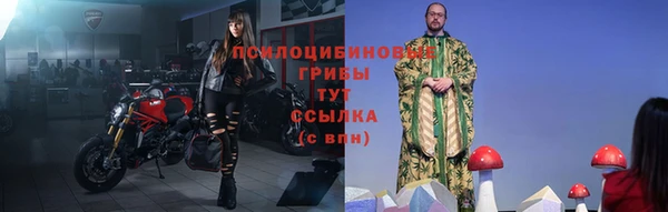 ГАЛЛЮЦИНОГЕННЫЕ ГРИБЫ Бугульма