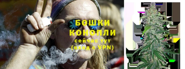 крисы Бронницы