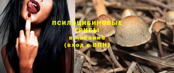 экстази Бородино
